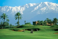 Palmeraie golf